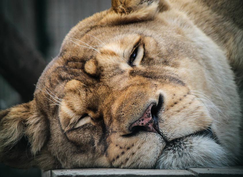 Great Tips for better sleep