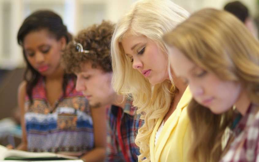 Student, Studies, Discipline, Work