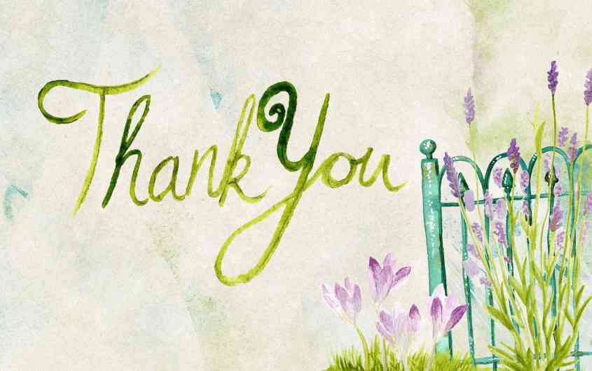 Say thank you