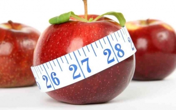 The best dietary habits